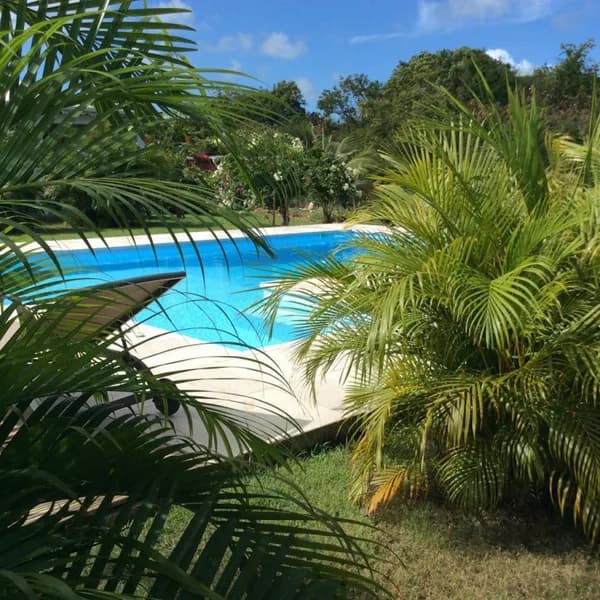 Au jardin de l’eden