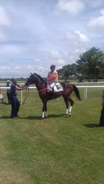 Hippodrome Karukéra Saint Jacques - photo 2