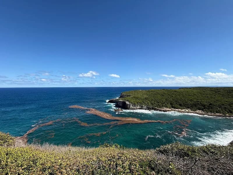 Restaurant Le Chateau de Feuilles - photo 2