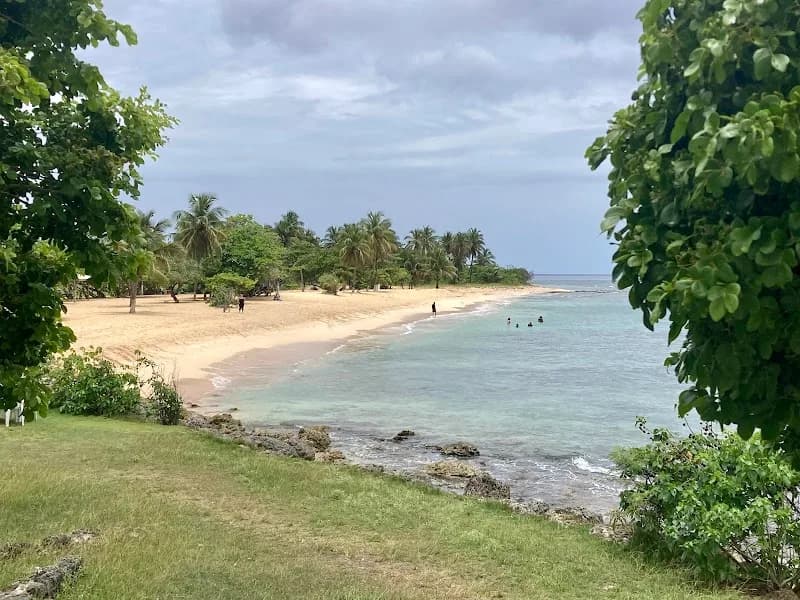 Location de voiture Anoucars Anse-Bertrand - photo 2