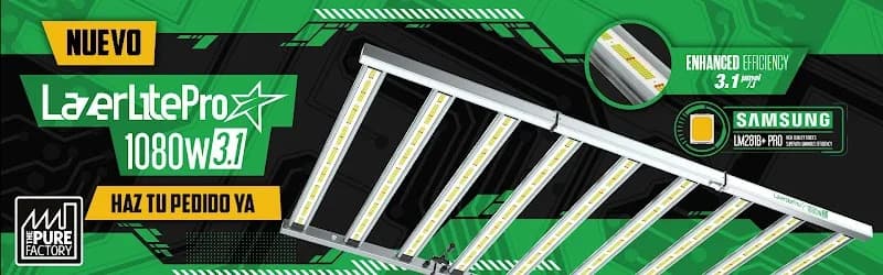 Magasin Anbafey Gwada Jarry - photo 4