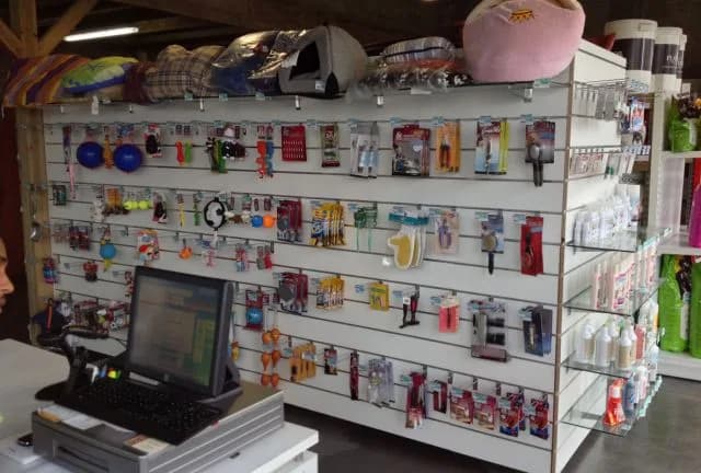 Animalerie Guadeloupe - photo 4