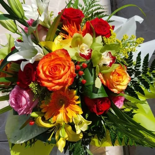 Anny-Fleurs Antilles - photo 2