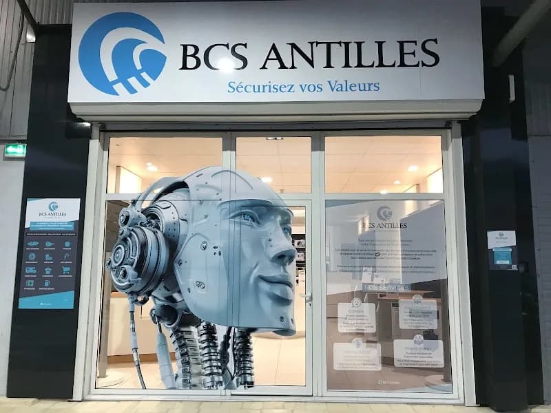 Antilles Computer Services