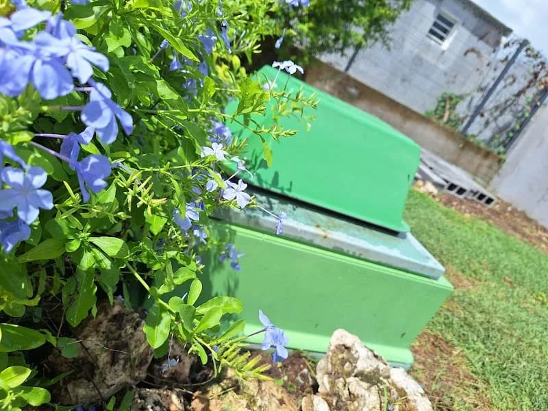 Aquaserv Caraibes - photo 3