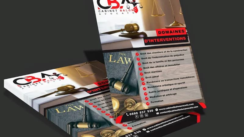 Avocat Marie-Pierre Balon Jarry - photo 3