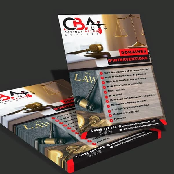 Avocat Marie-Pierre Balon Jarry - photo 4