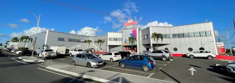 Blandin Motors Automobiles