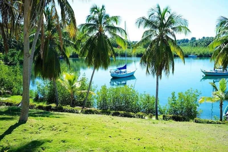 Boisripeaux Services Baie-Mahault - photo 4