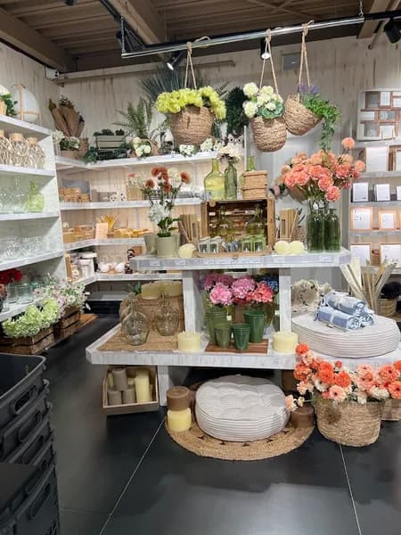 Boutique Muy Mucho Destreland - photo 2