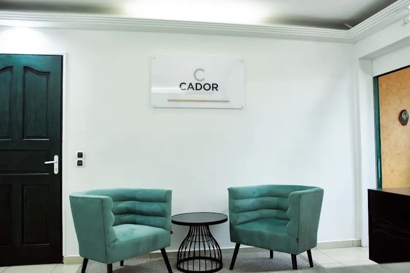 Bureau d’Etudes Alcor Consulting
