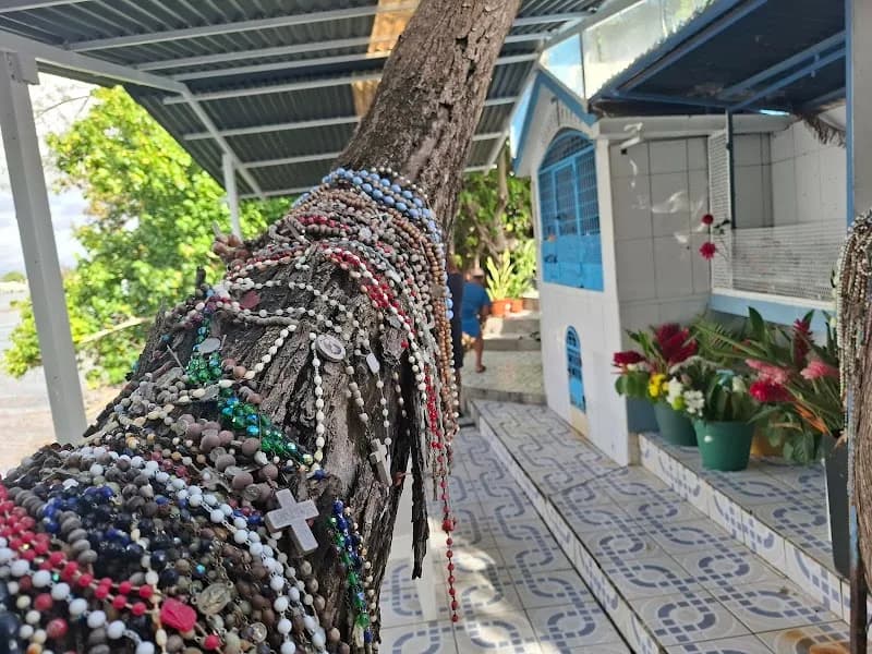 Capelle Gilles - photo 3