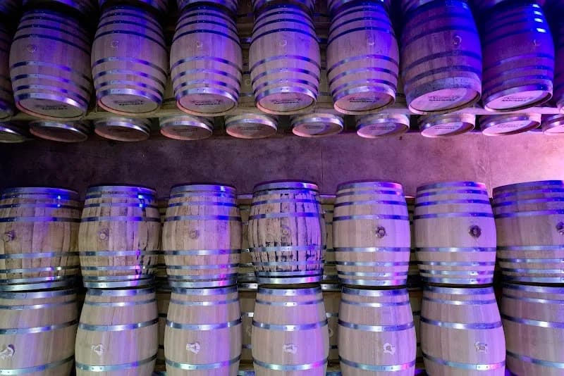 Cave à Vin La Vinothèque Jarry - photo 2