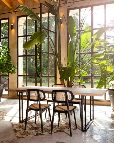 Claire Ambiance Jarry - photo 3