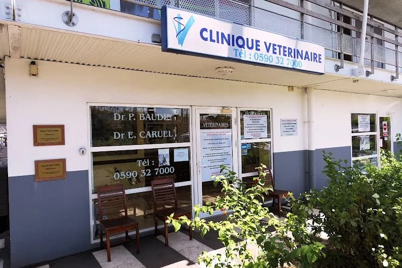Clinique Vétérinaire de Jardivillage - photo 3