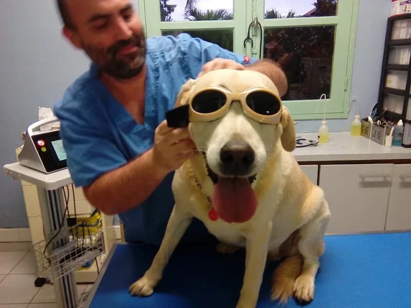 Clinique Vétérinaire des Orchidées - photo 3