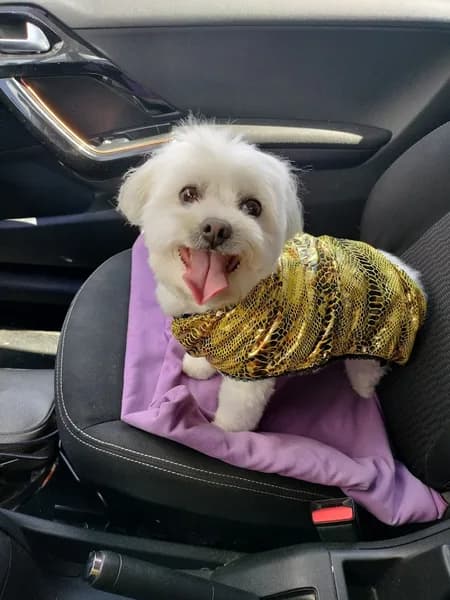 Clinique Vétérinaire HRM - photo 3