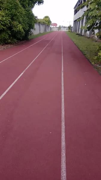 Collège Maurice Satineau - photo 4