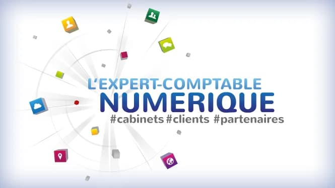 Comptable Prexilexis Baie-Mahault - photo 4