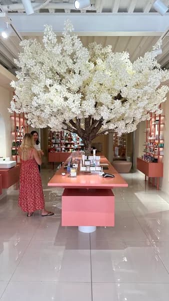 Cosmétique Enancia Jarry - photo 4