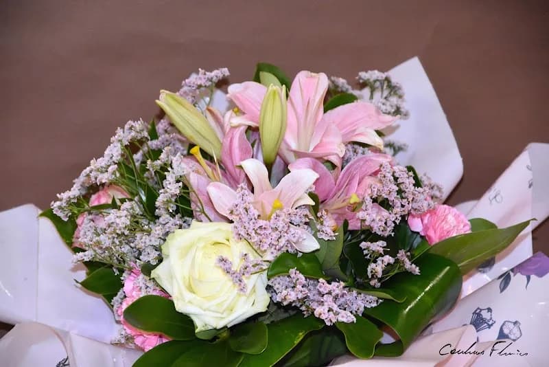 Couleurs Fleuries - photo 2