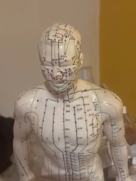 Didier Anne-Françoise - photo 2