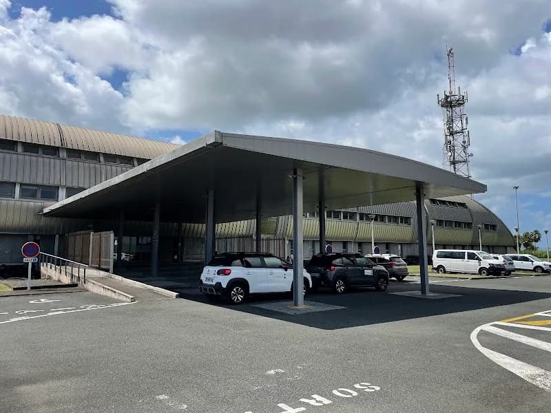 Duflo Teddy - photo 4