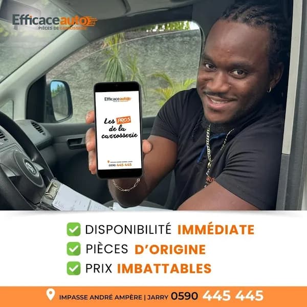 Efficace Auto Fresneau - photo 4