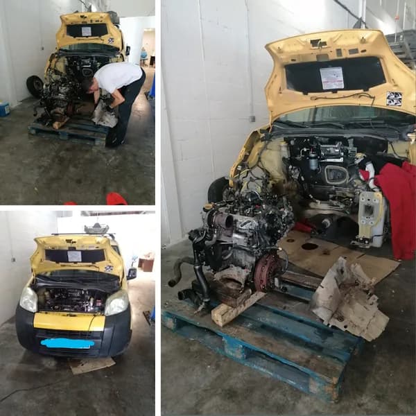 Gourier Pascal - photo 3