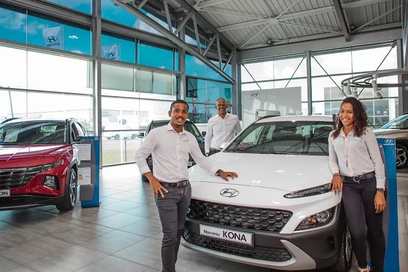 HYUNDAI SGDM - photo 2