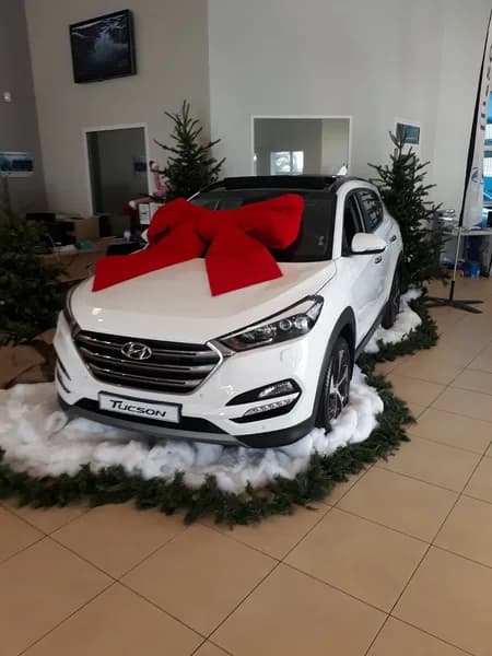 HYUNDAI SGDM - photo 4