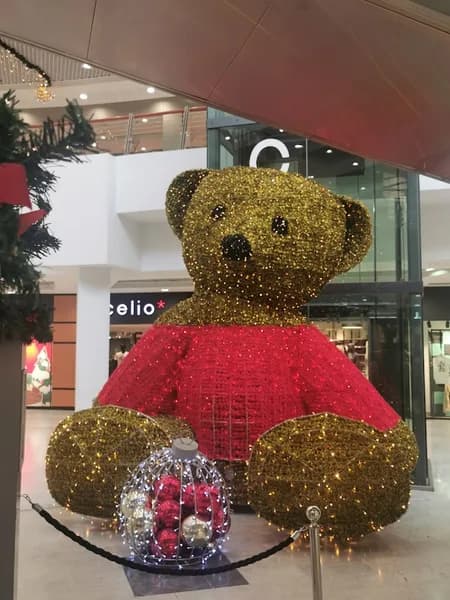 Jacqueline Riu Destreland - photo 4