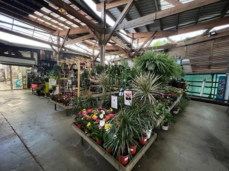 Jardin Guadeloupe - photo 2