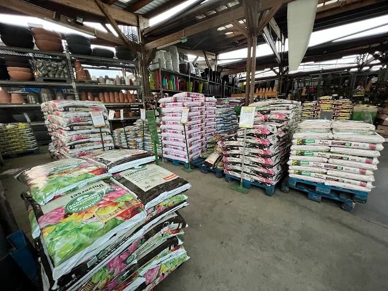 Jardin Guadeloupe - photo 4