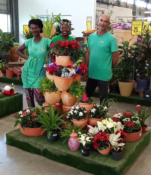 Jardin Caraïbe - photo 3