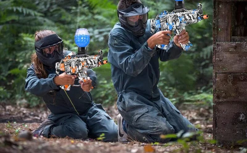 Jeu vidéo Guadeloupe - photo 2