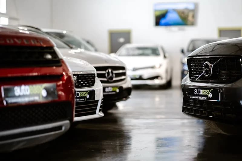 La Bonne Occasion 971 - photo 4