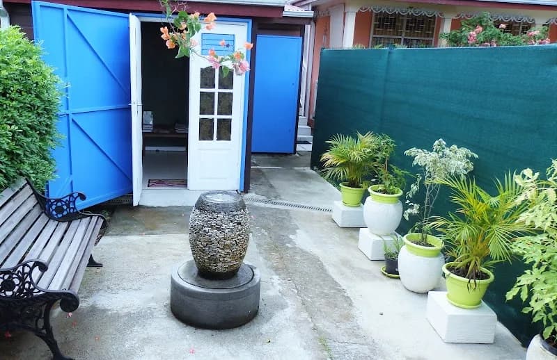 Ostéopathe Luce Ludovic Baie-Mahault - photo 3