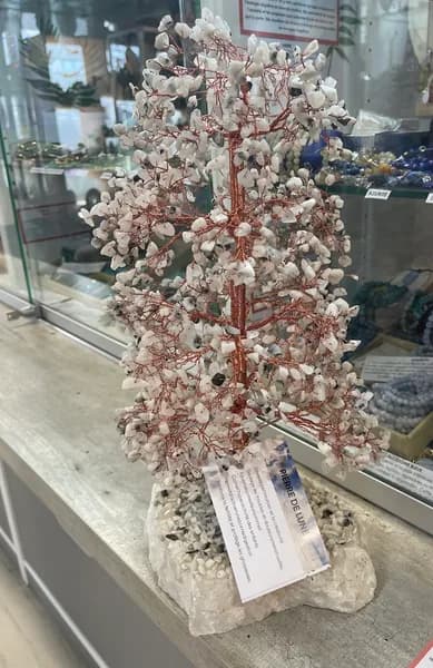 Mondésir Marie-Michèle - photo 4