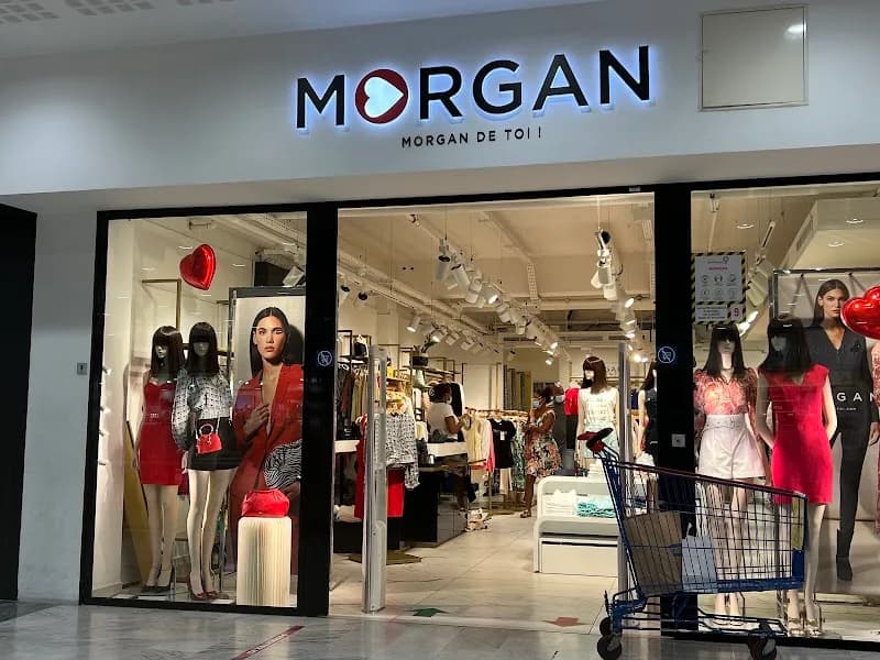 Morgan Destreland - photo 2