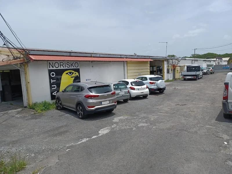 Norisko Jarry - photo 4