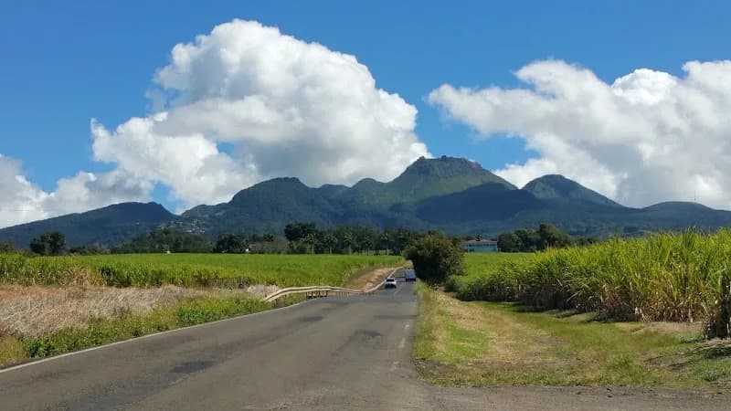 Lavage Auto Oracl’Eco - photo 4