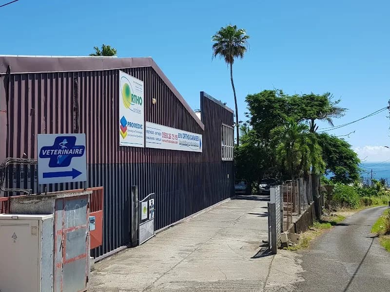 Ortho-Caraïbes - photo 3