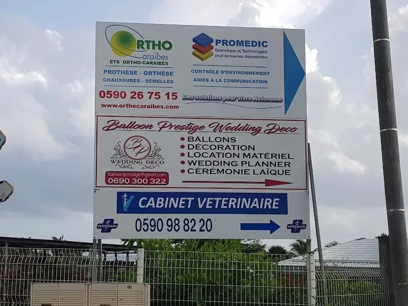 Ortho-Caraïbes - photo 4