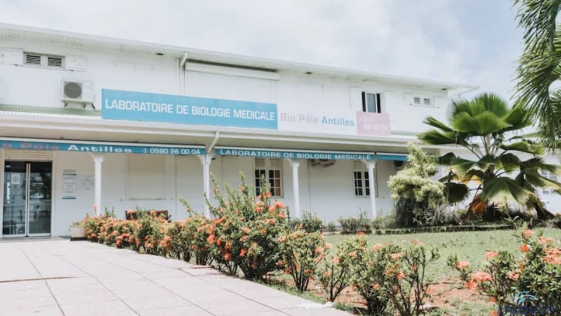 Phoenicia Baie-Mahault - photo 2