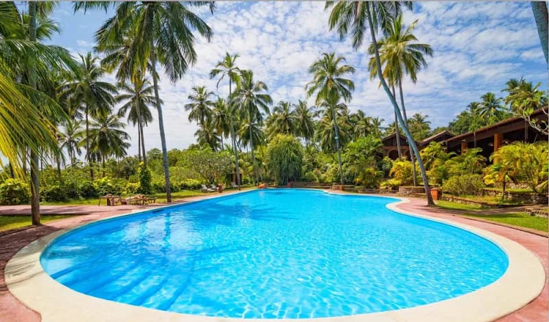 Piscine Kaz’O Baie-Mahault - photo 4