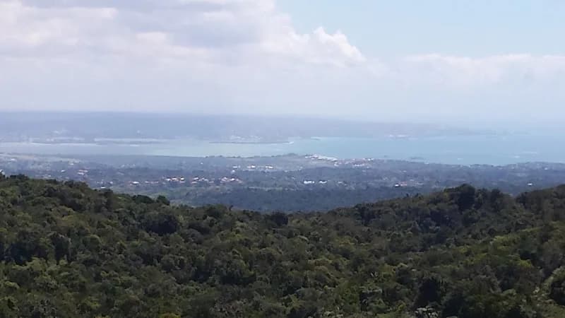 Point Service Mobiles Jarry