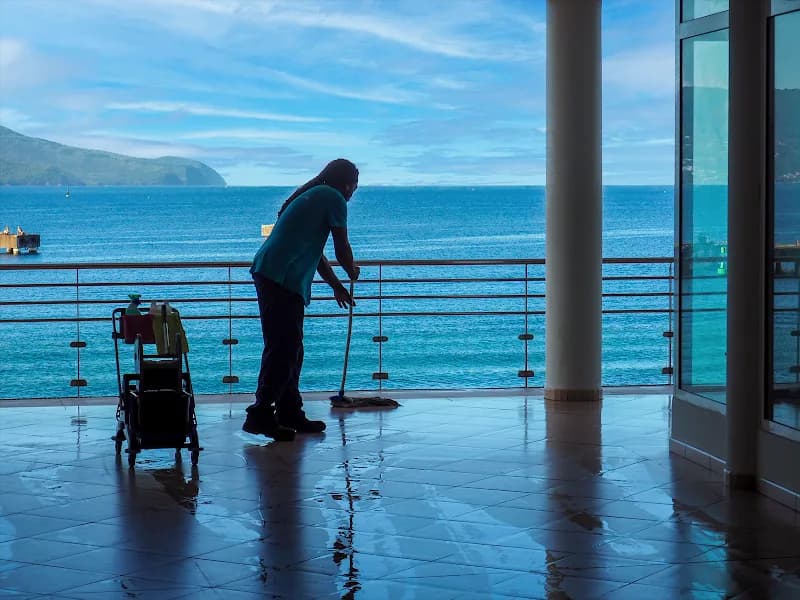 Propreté Guadeloupéenne - photo 2