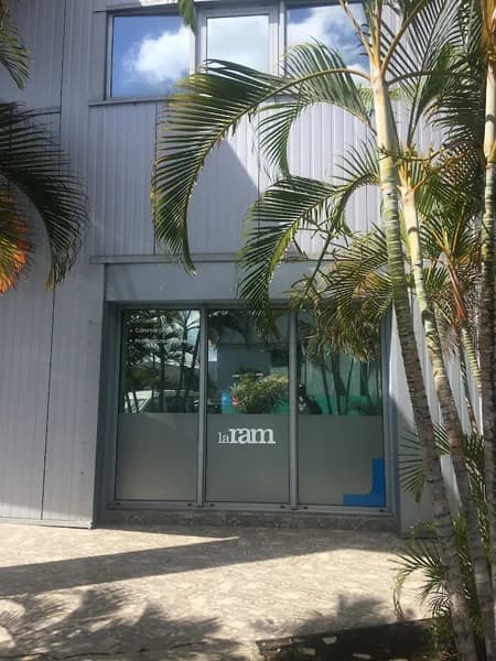 Regime Social des Independants - photo 3