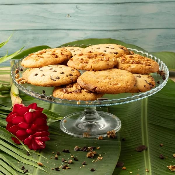 Restauration rapide Renée Voie Verte - photo 4